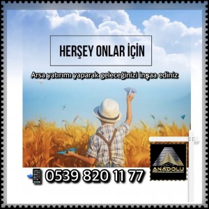 Anadolu İnşaat Emlak Otomotiv