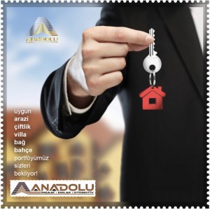 Anadolu İnşaat Emlak Otomotiv