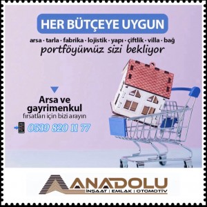 Anadolu İnşaat Emlak Otomotiv