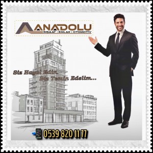 Anadolu İnşaat Emlak Otomotiv